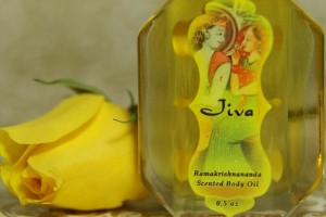 Jiva olie 15 ml